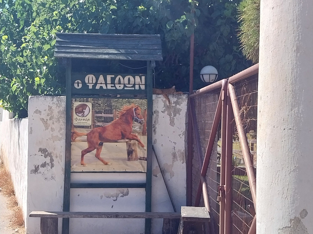 Faethon Miniature Horses Farm-Archangelos必去景点