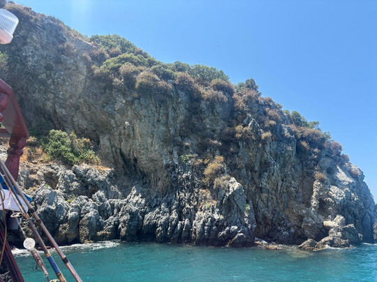 Askim Boat Tours-库萨达斯必去景点