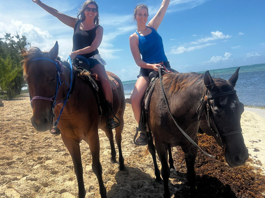 Cayman Horse Riding-西湾必去景点