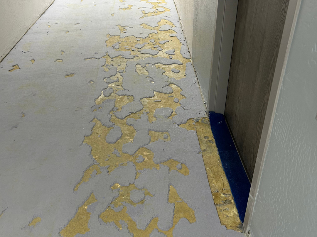 Holiday Inn Rock Springs by IHG主图