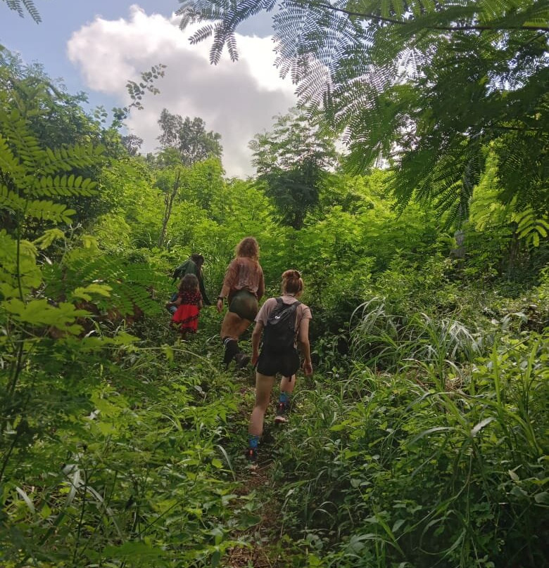 Monkey Cave Lombok-Pujut必去景点