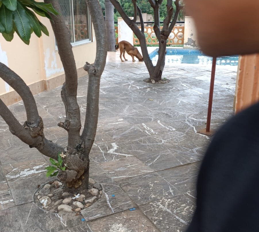 Udai Nature Valley Resort By AN Hotels主图