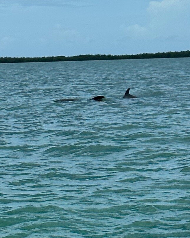Islander Girl Snorkel &Tours-Tavernier必去景点