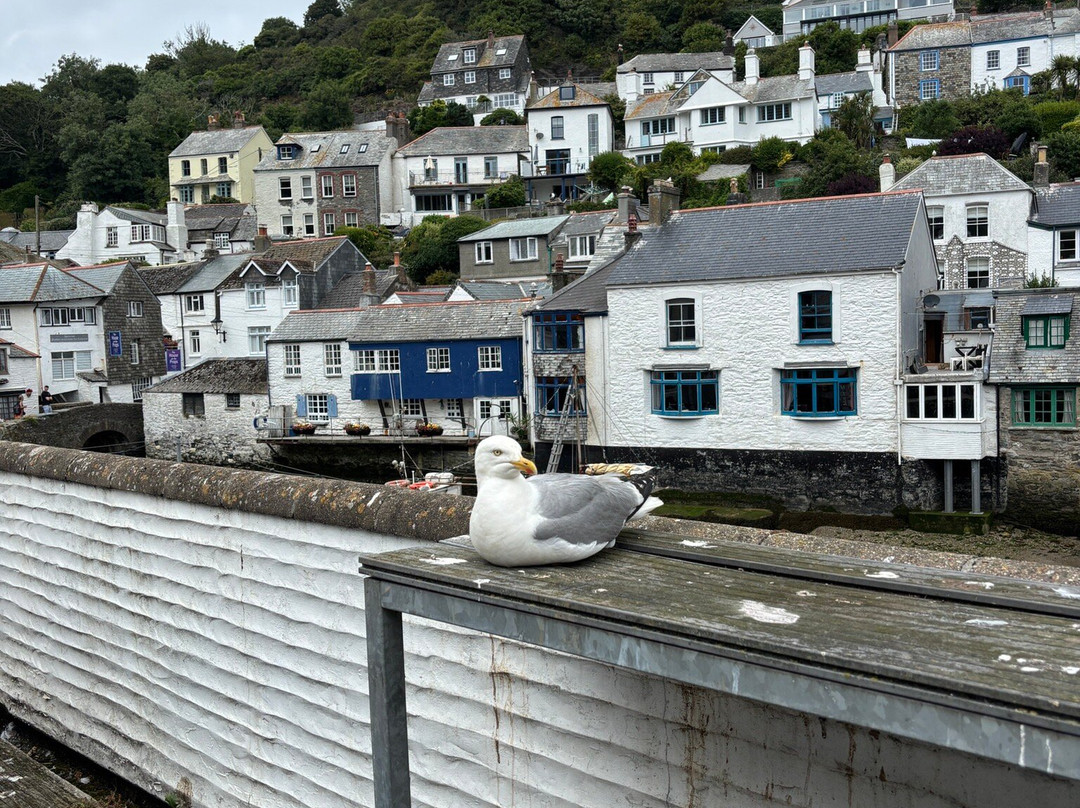 Polperro Harbour and Headlands Walk-Polperro必去景点