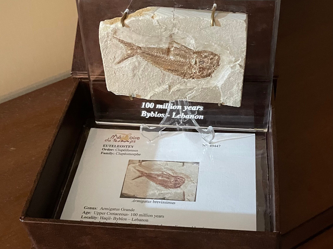 Memory of Time-朱拜勒必去景点