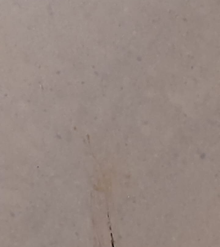 户撒马斯卡马雷纳酒店主图