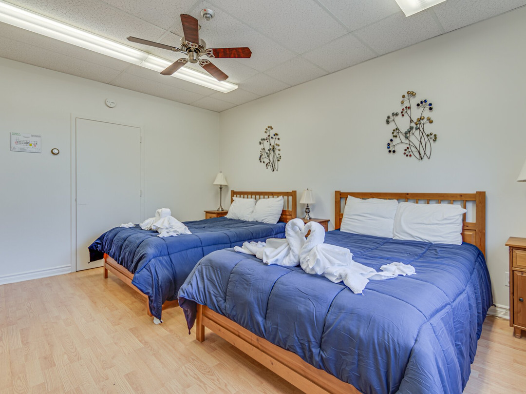 Auberge Du Mont Rigaud主图