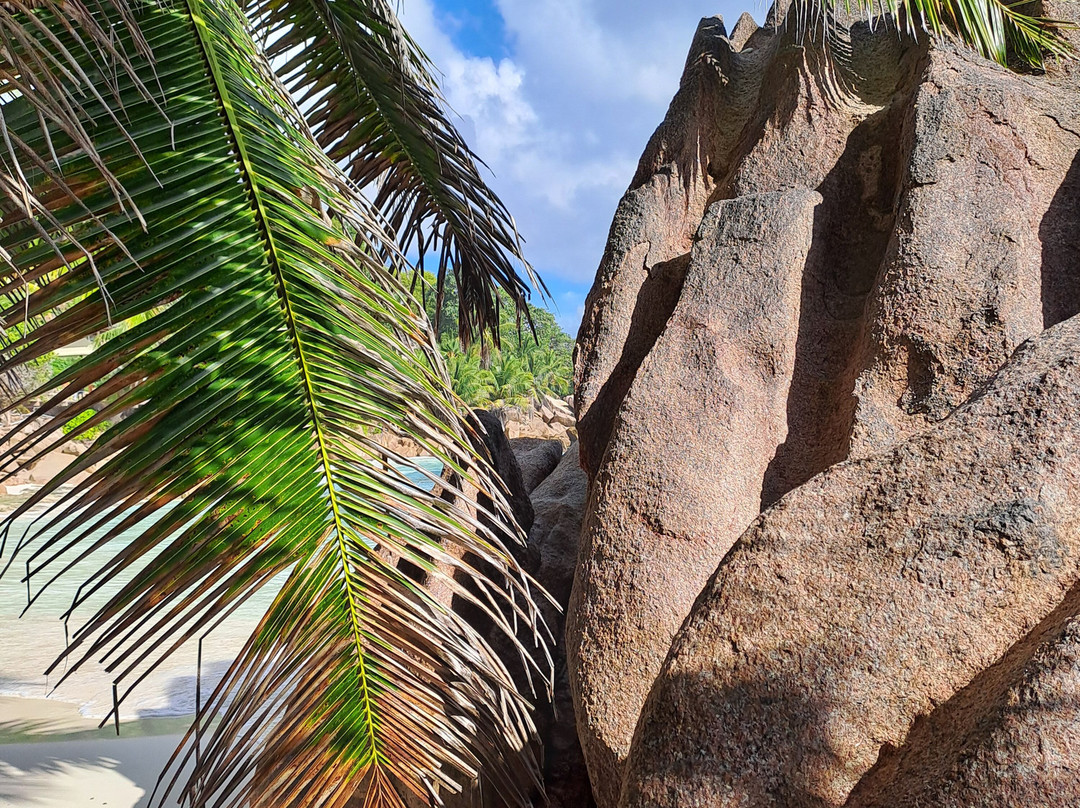 Anse Patates Beach-拉迪格岛必去景点