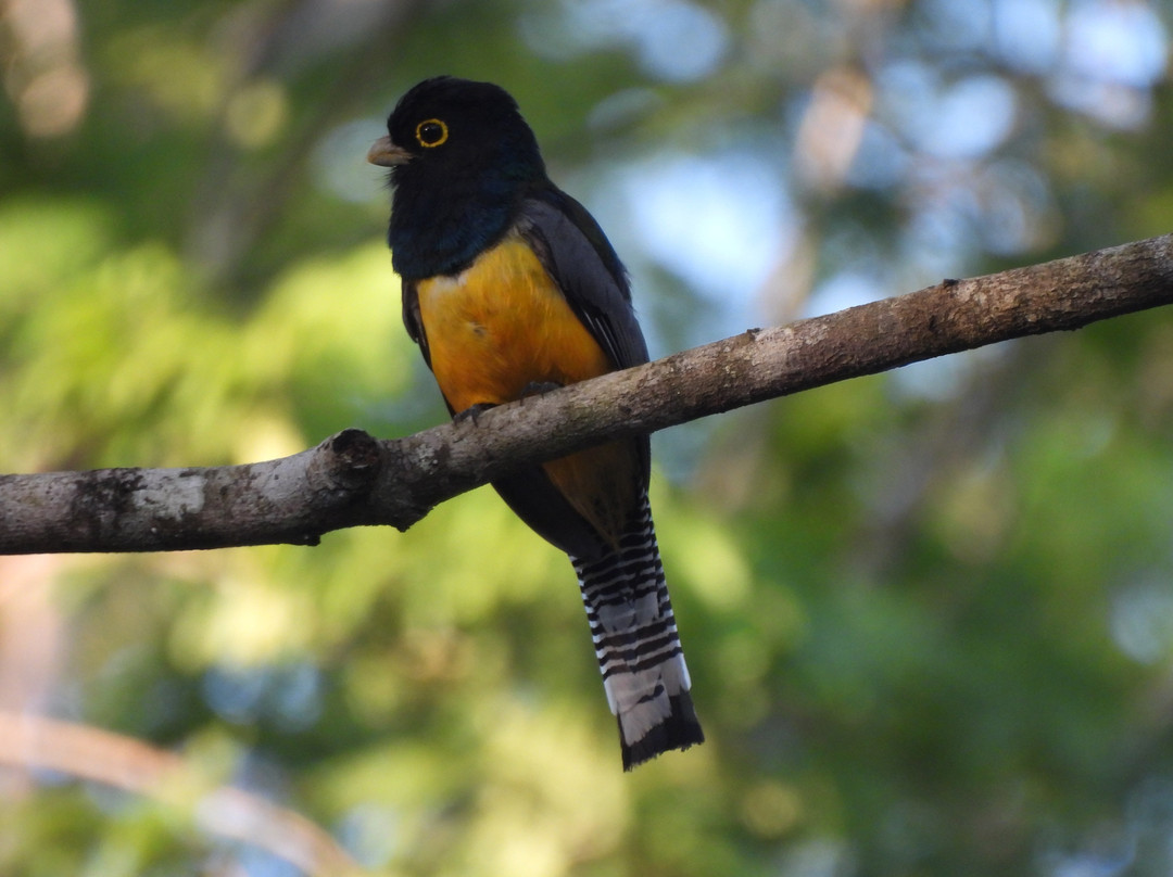Birdwatching Tours in Sian Ka'an by Eddy-图伦必去景点