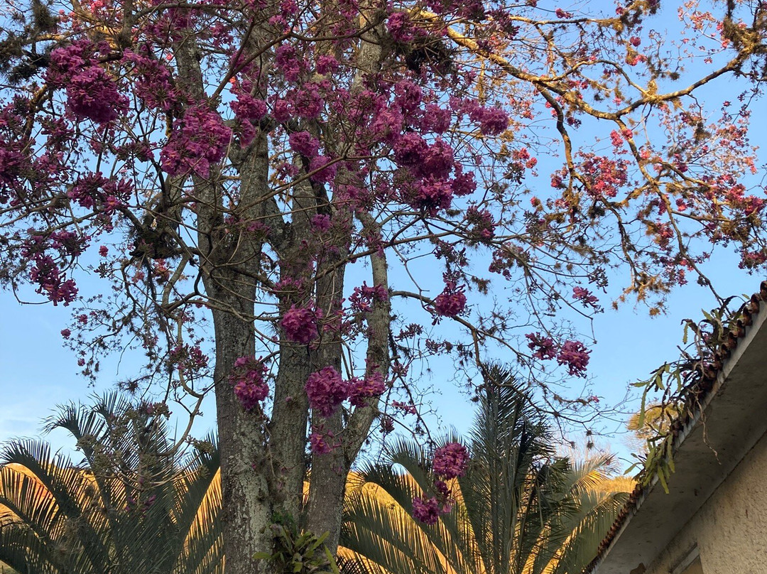 Arcozelo Palace Hotel主图