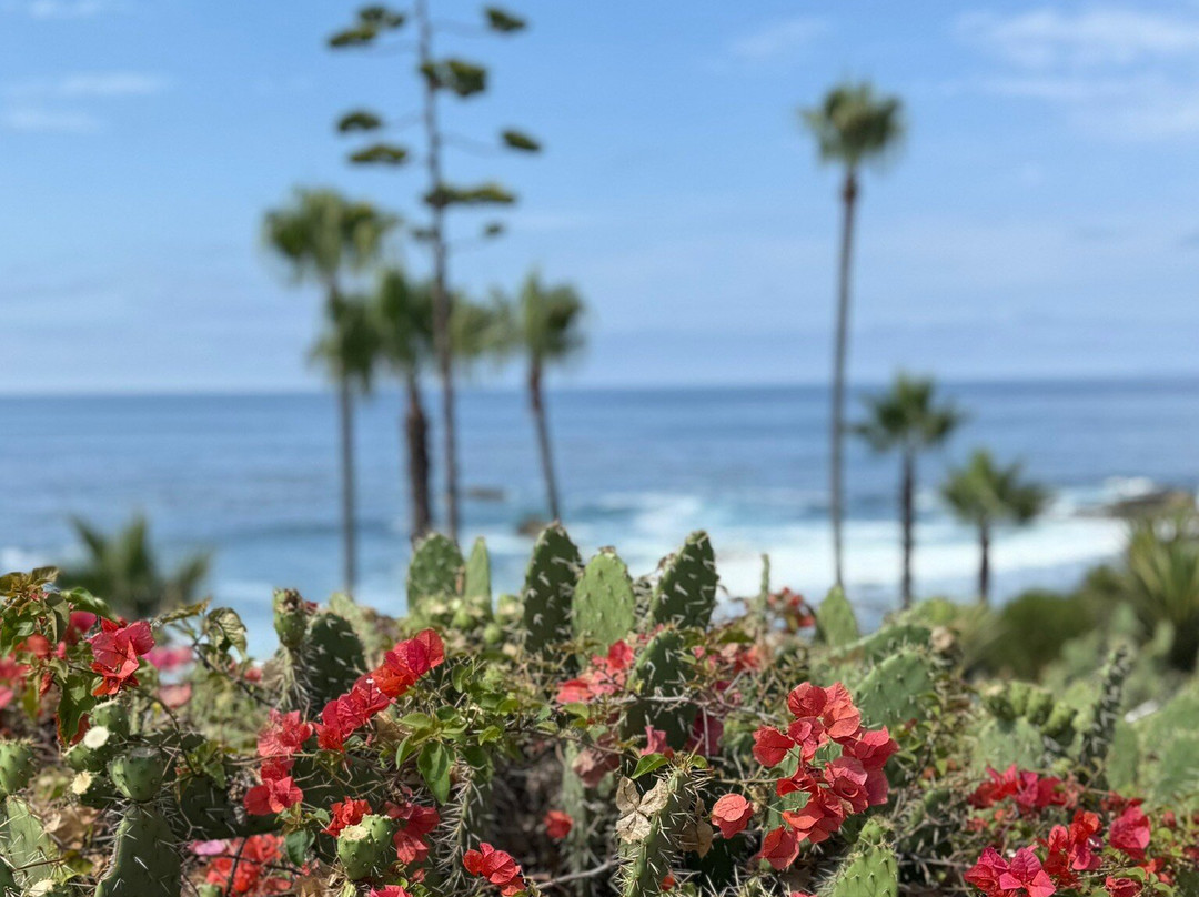 海斯勒公园-拉古纳海滩必去景点