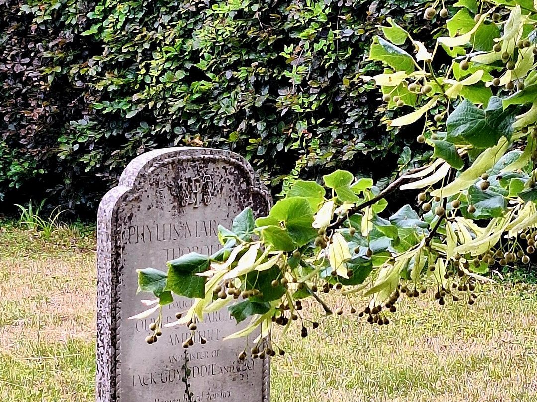 Chenies Manor House And Gardens-Chenies必去景点