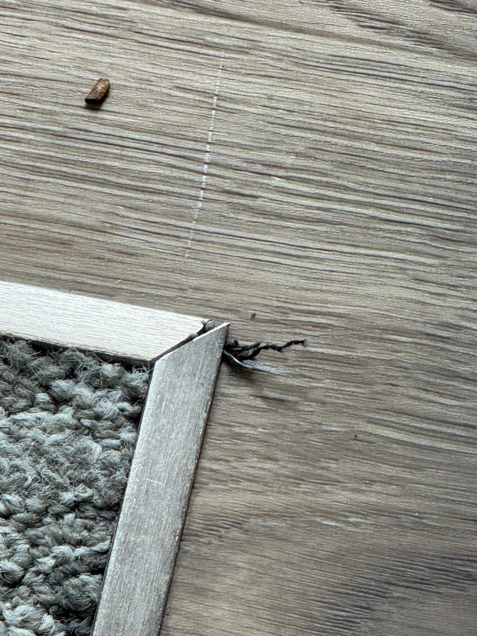 SpringHill Suites by Marriott State College-官方