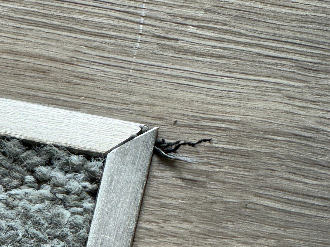 SpringHill Suites by Marriott State College主图