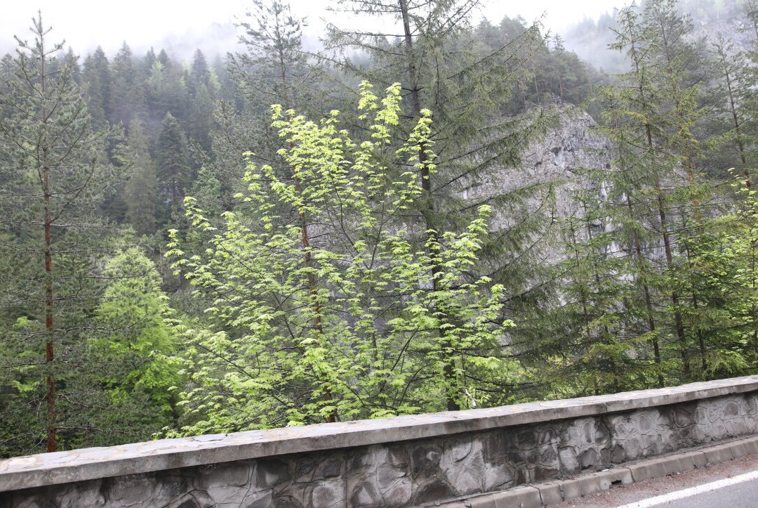 Bicaz Gorges-Lacu Rosu必去景点