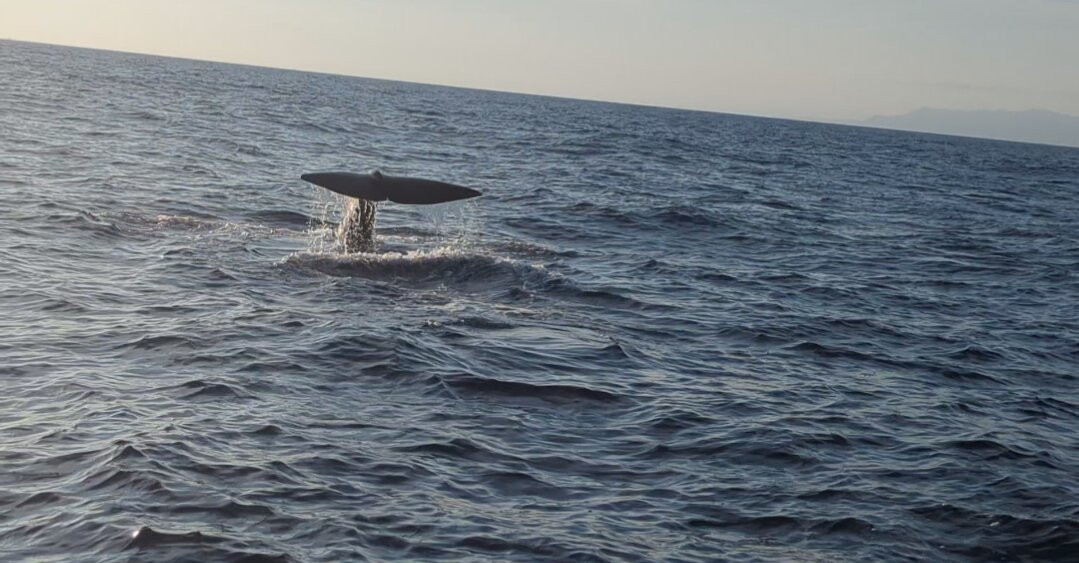 Sanary Aventure Marine-滨海萨纳里必去景点