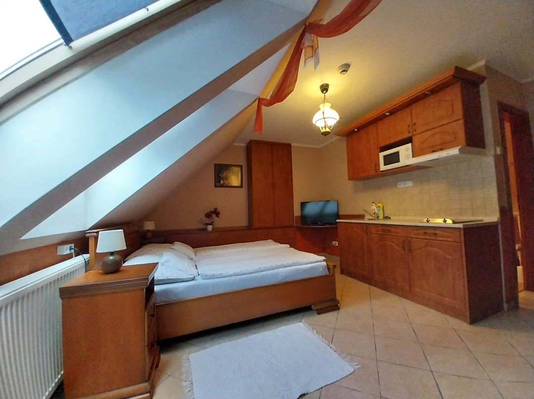 Rozmann Family Panzio & Apartmanhaz主图