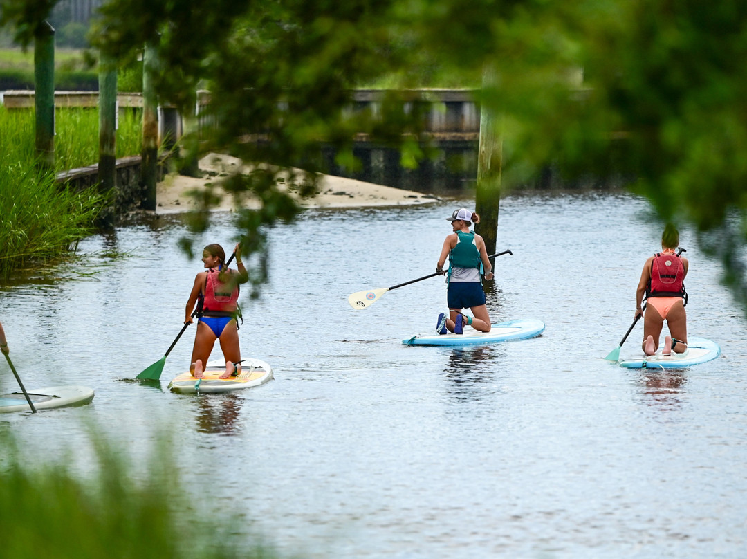 Paddle NC-卡罗来纳比奇必去景点