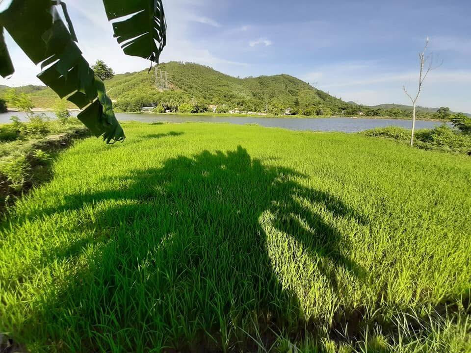 Dong Du Village Lakeside Farm Stay-Nghia Thuan必去景点