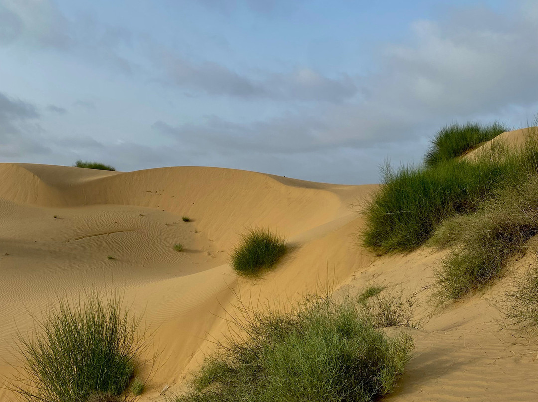 Pol Haveli Desert Safari-杰伊瑟尔梅尔必去景点