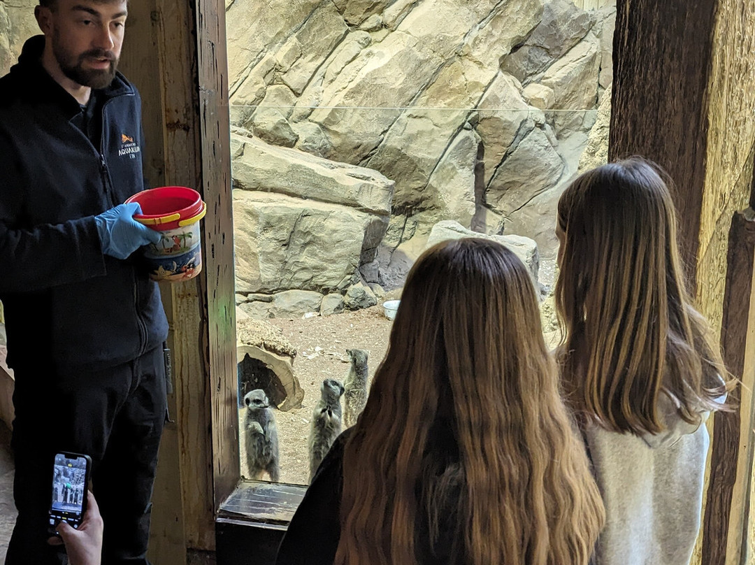 St Andrews Aquarium-圣安德鲁斯必去景点