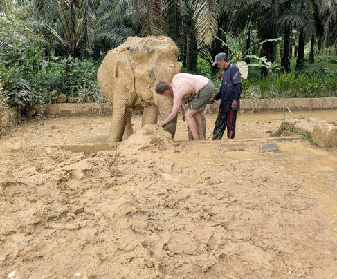 Khao Sok Elephant Conservation Centre-Rommani必去景点