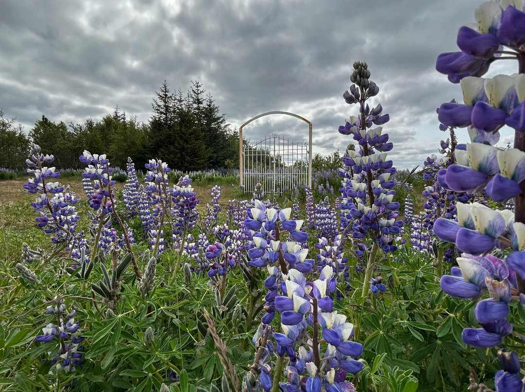 Keldur-海拉必去景点