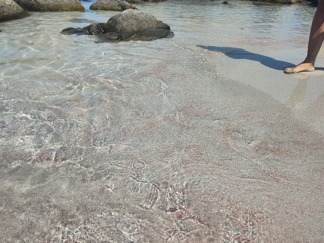 Hotel Casa Mea主图