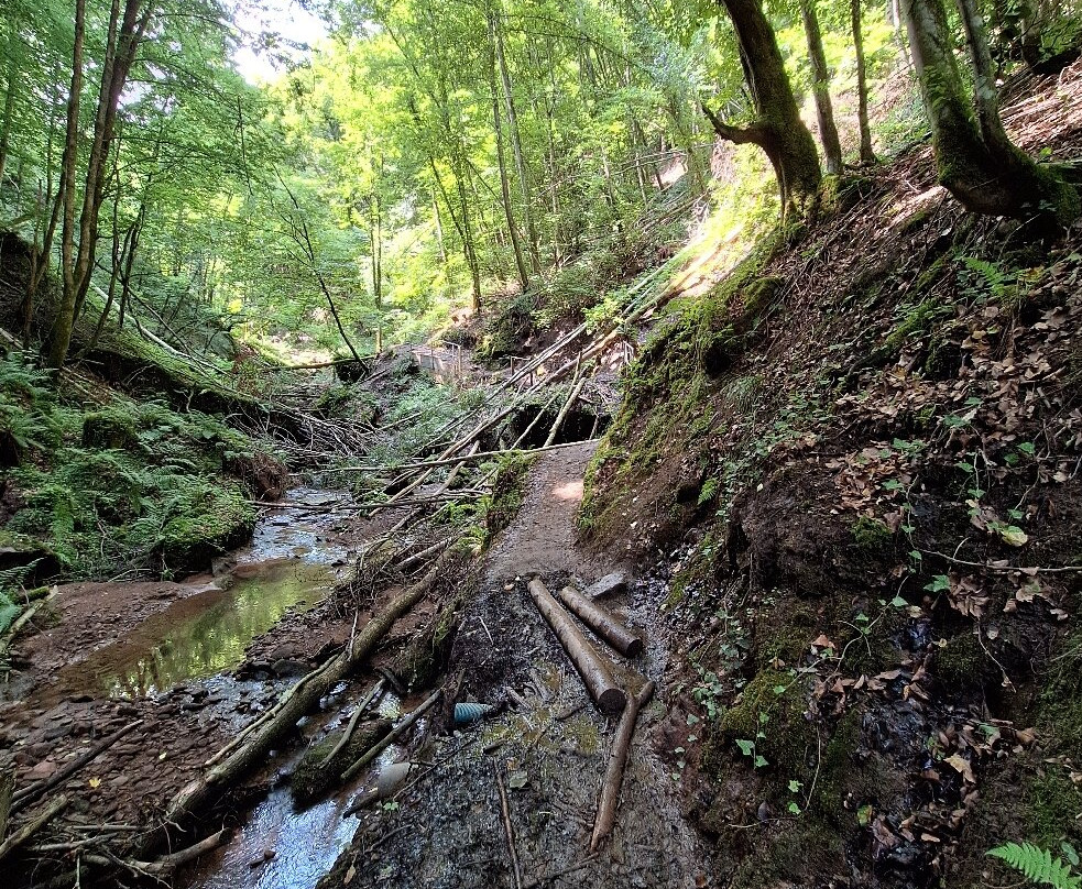 Villa Vontenie主图