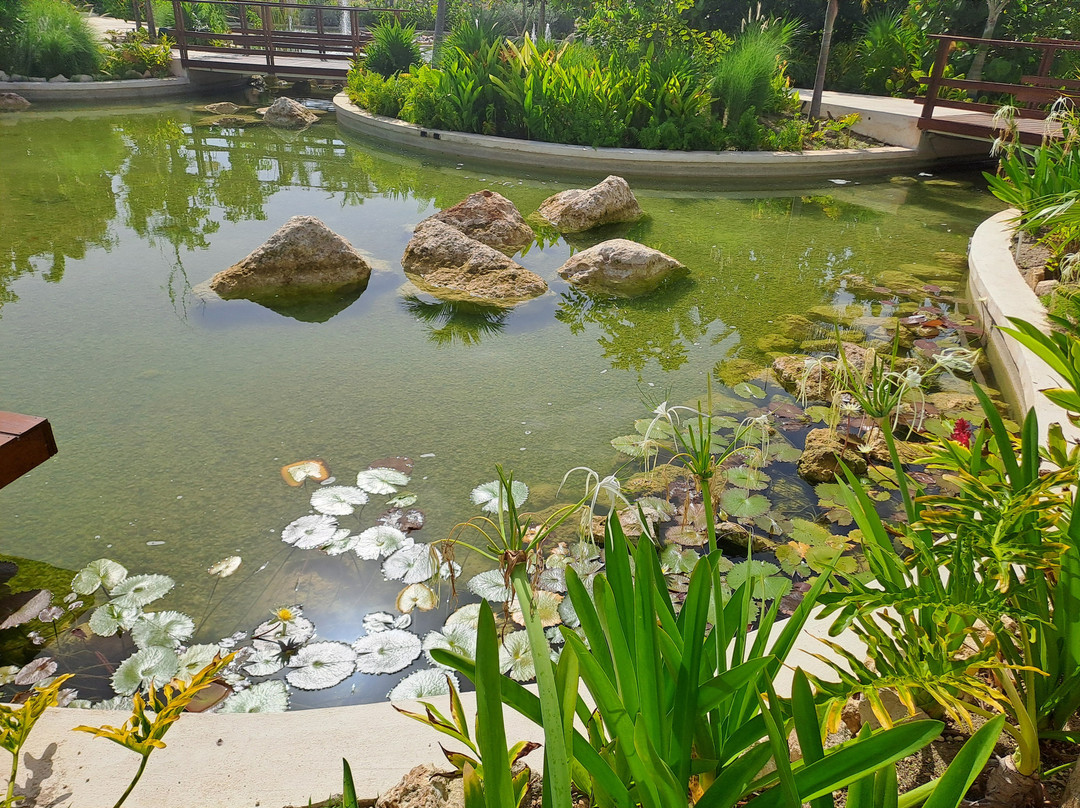 Hotel Bella Vista Playa Blanca主图