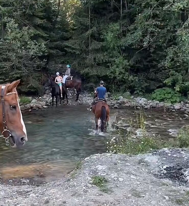 Stajnia Konsul-Koscielisko必去景点