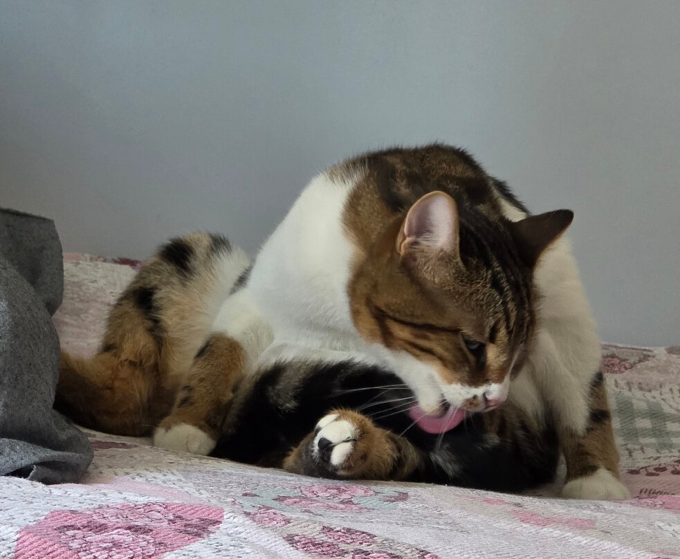 ANKAmall Alisveris Merkezi-安卡拉必去景点