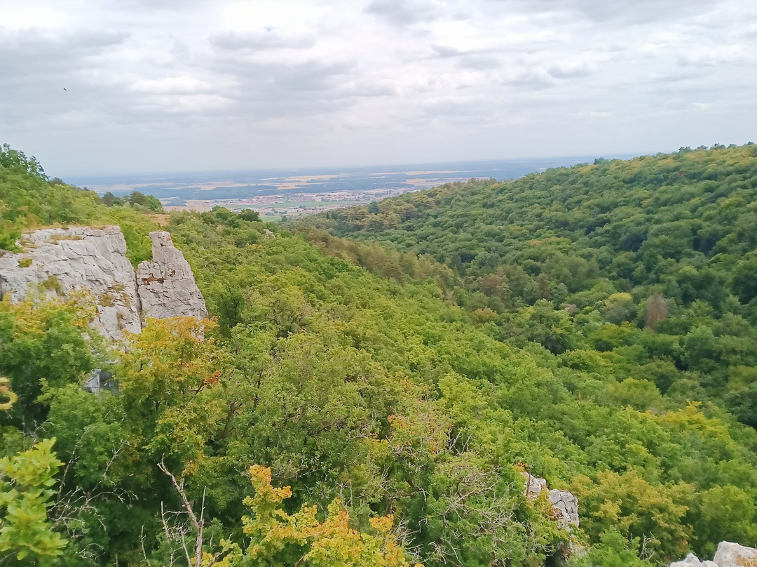 Parc Noisot-Fixin必去景点