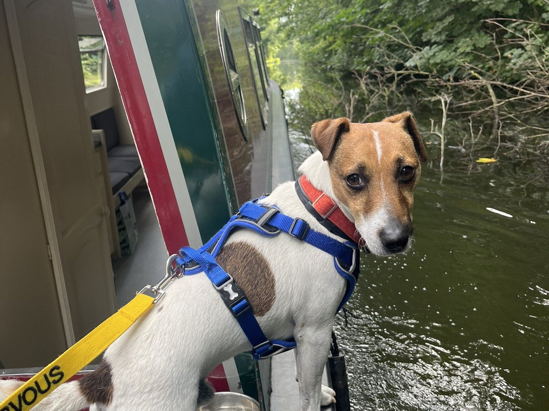 Thorn Marine-Stockton Heath必去景点