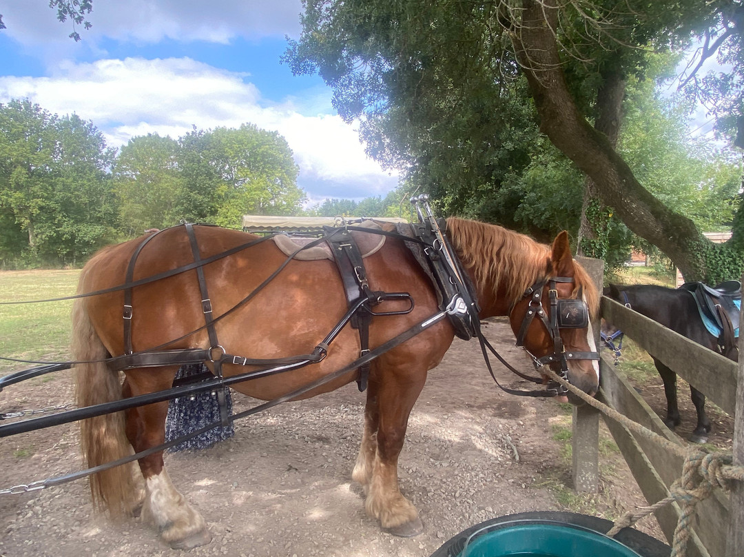 Jean Sébastien Crusson-Saint Andre des Eaux必去景点