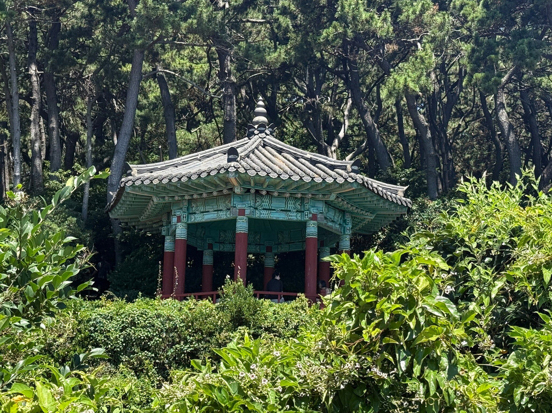 Dongbaekseom-釜山必去景点