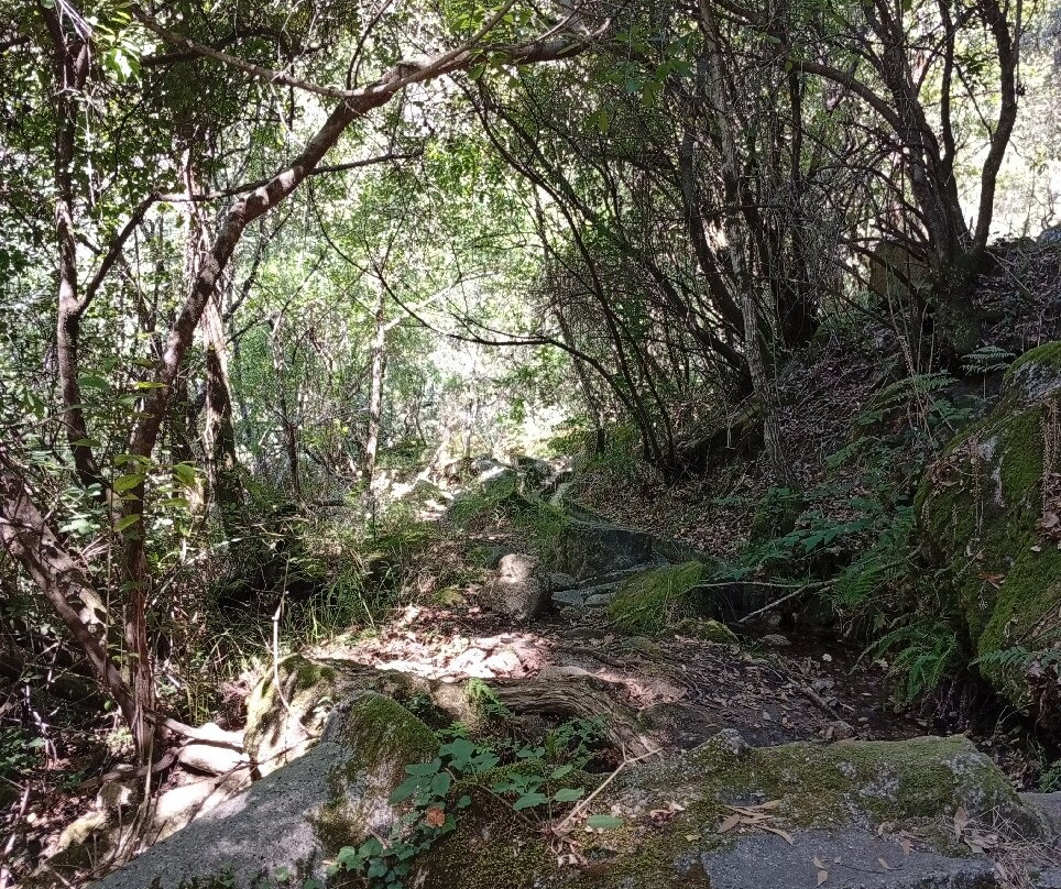 Pincaes Cascate-Peneda-Geres National Park必去景点