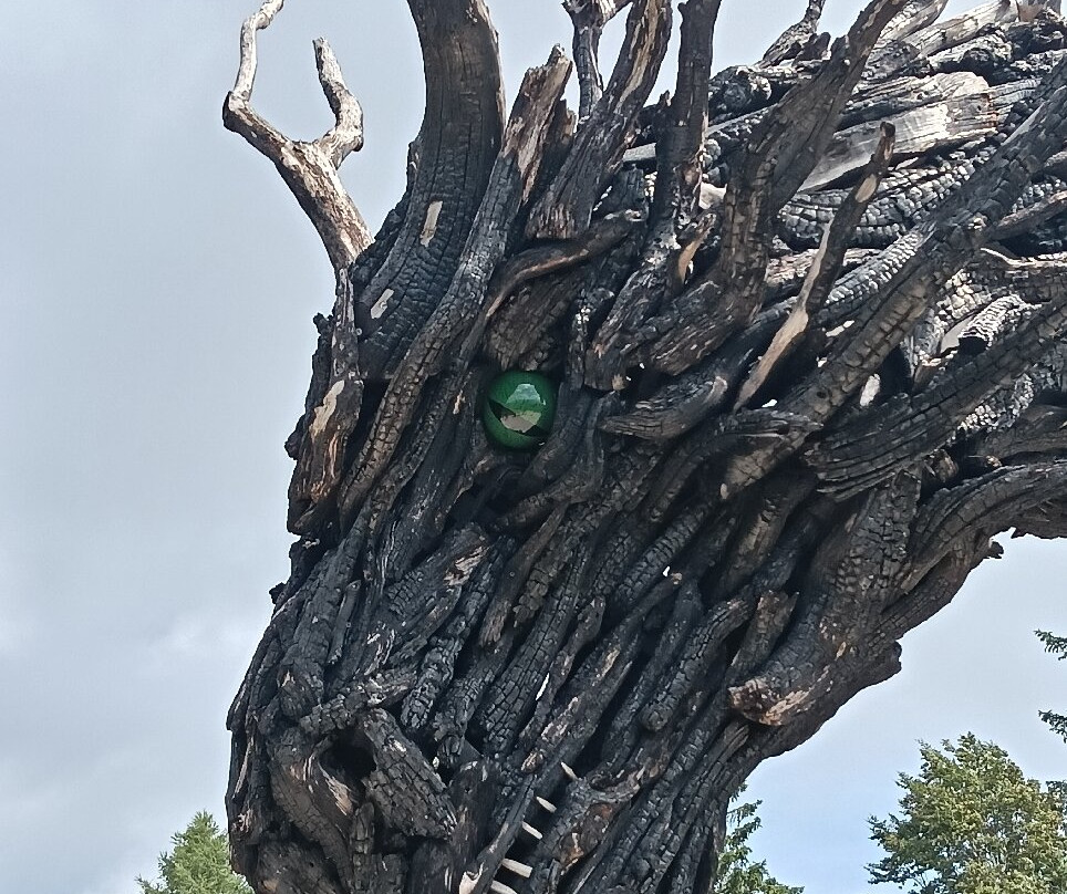 Drago Vaia Regeneration-Lavarone必去景点