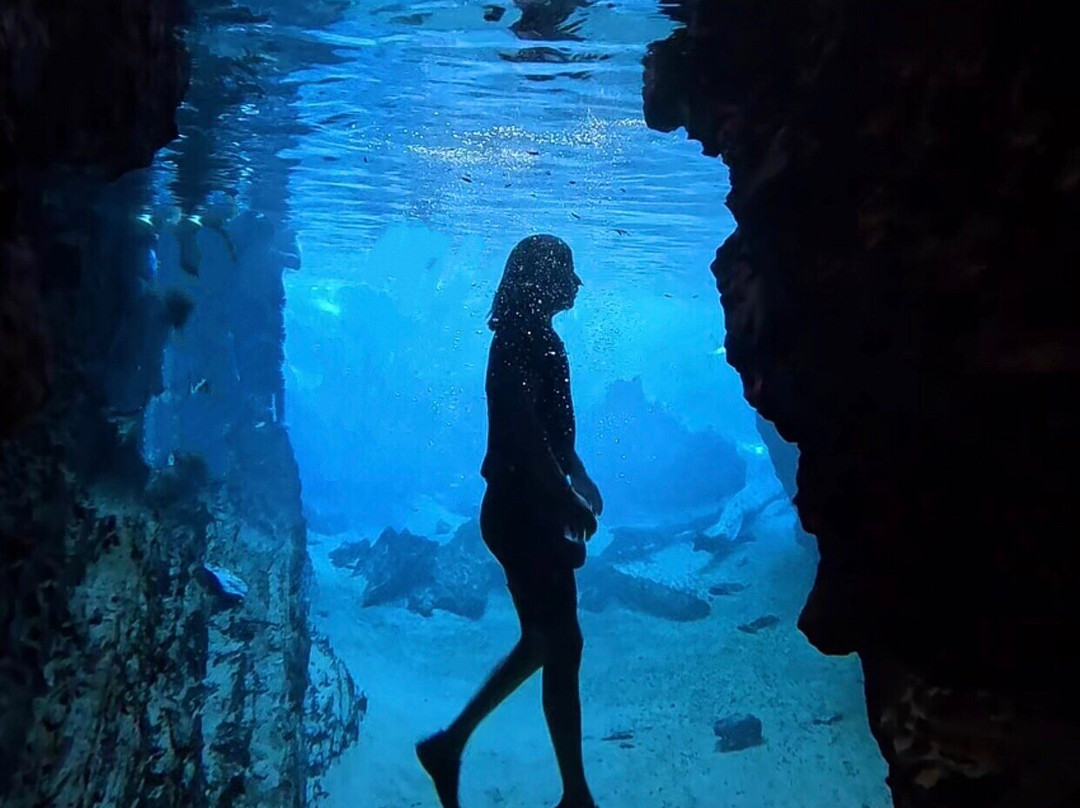 Giro Expedições-Palmas必去景点