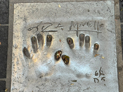 The Path of the Stars-戛纳必去景点