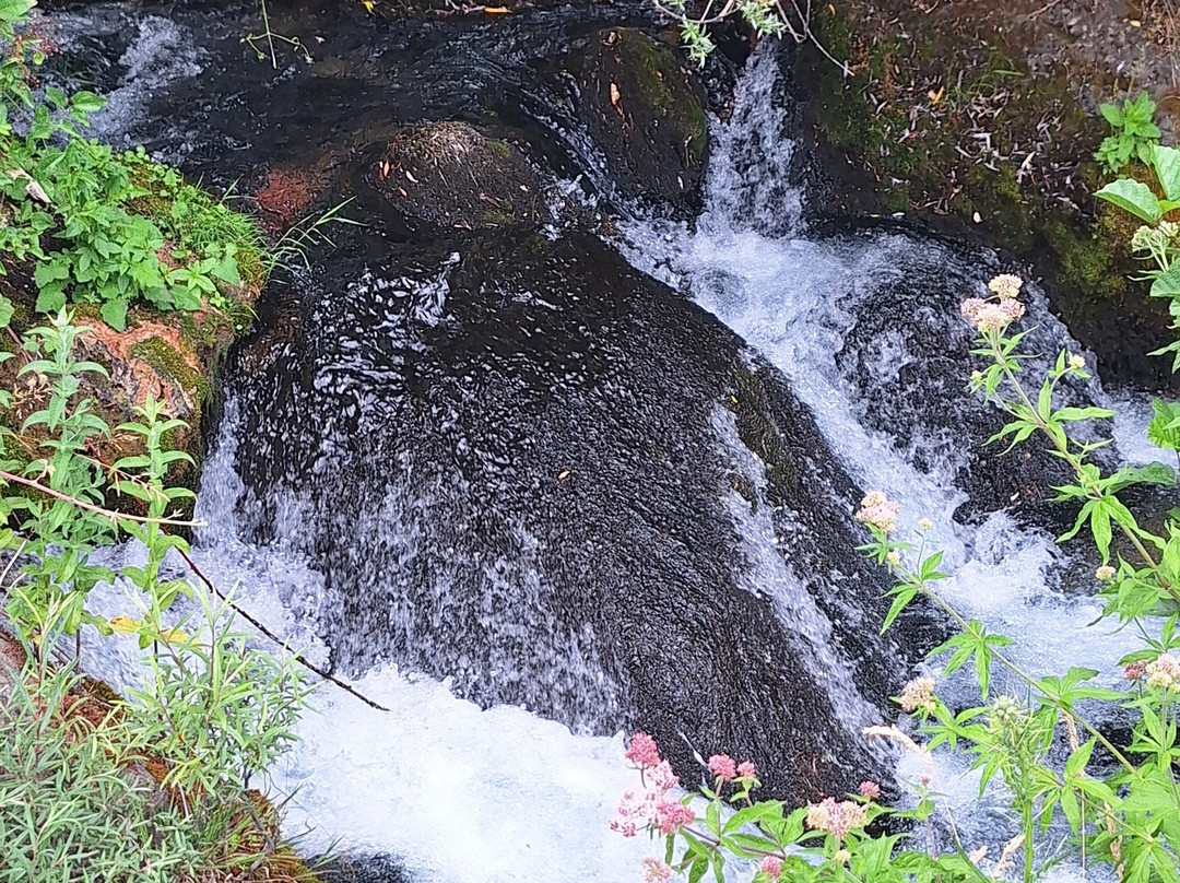 Alex Excursies-奥赫里德必去景点