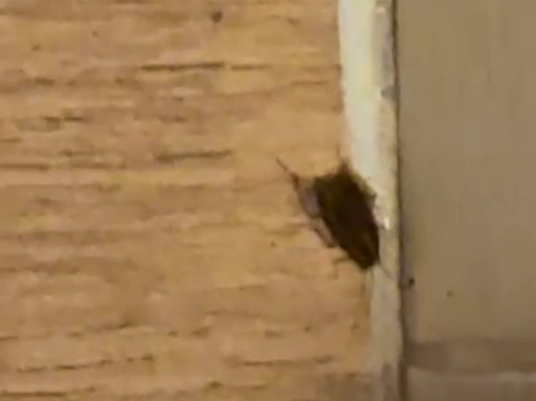 Pension Venta de Tebar主图