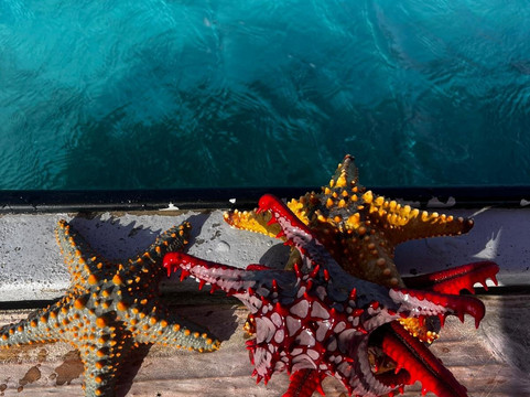 Mo Tours & Safaris-石头城必去景点