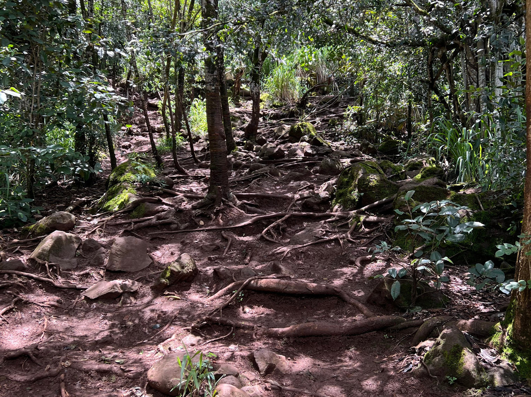 Ehukai Pillbox Hike-哈雷瓦必去景点