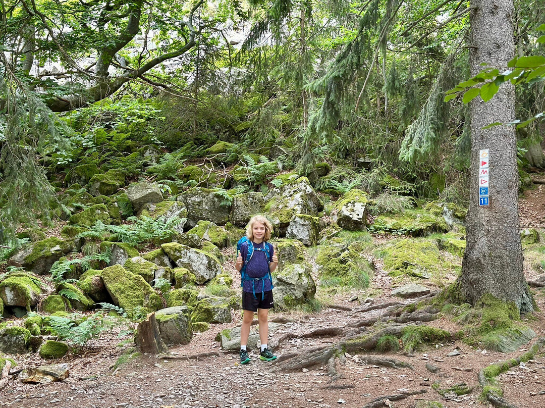 Wasserkuppe-Gersfeld必去景点