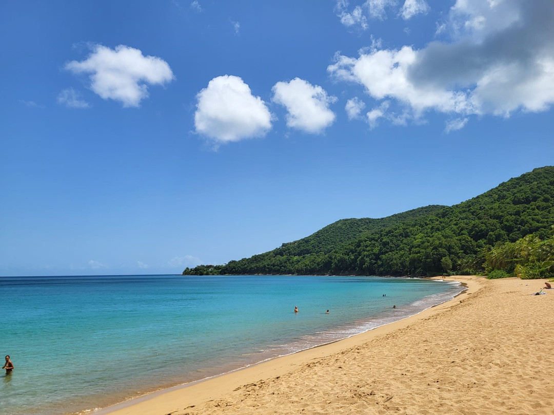 Anse Laborde-Anse-Bertrand必去景点