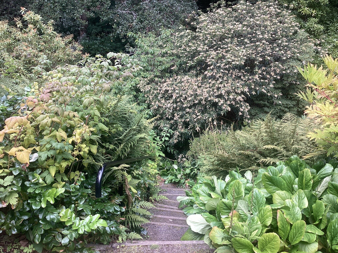 St Andrews Botanic Garden-圣安德鲁斯必去景点