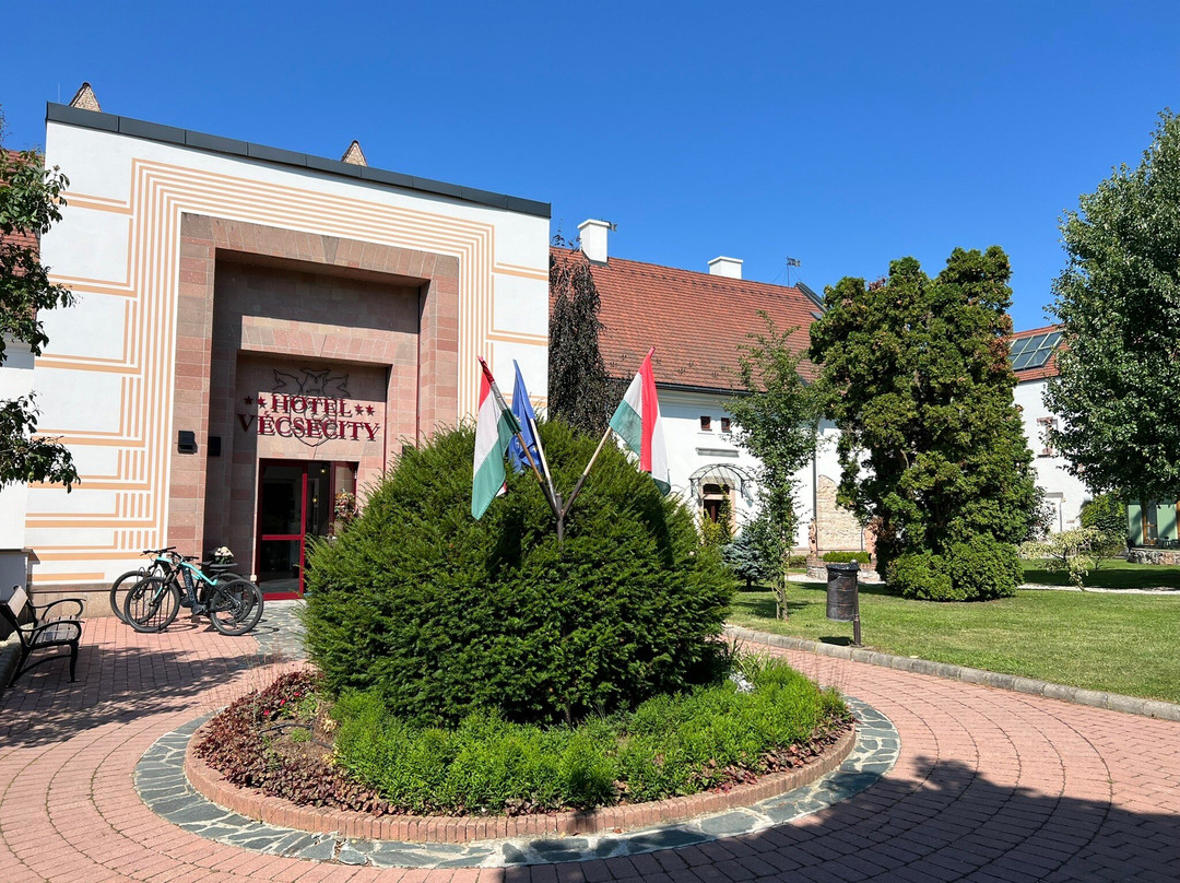 Hotel Vecsecity Superior主图