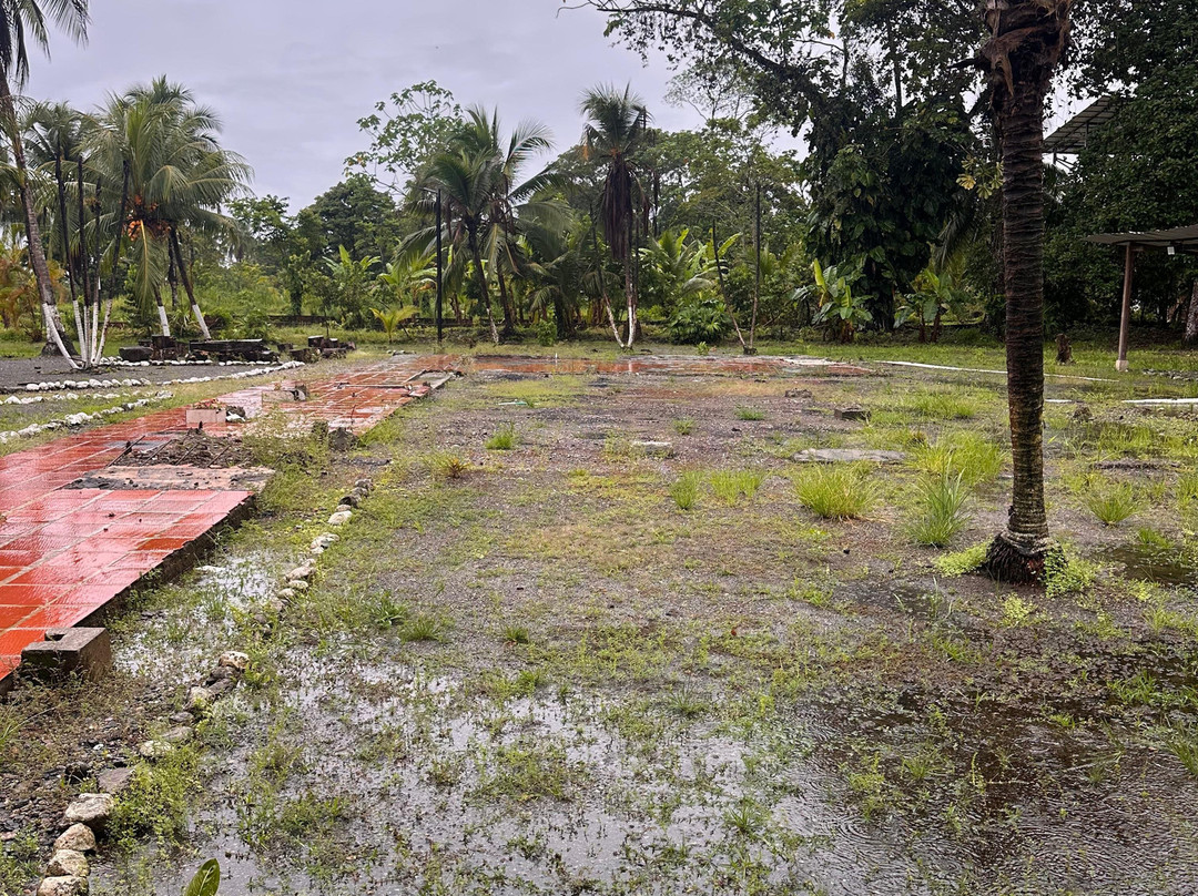 Hotel Nuquimar主图