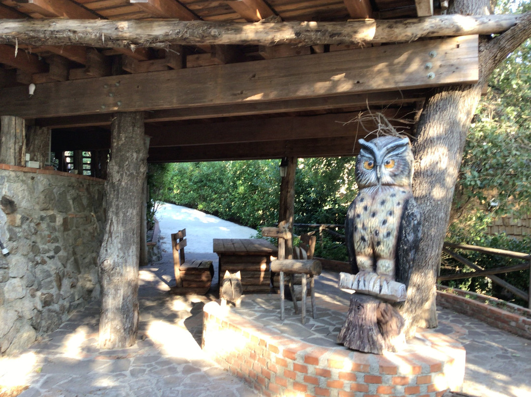 Le casette sull'albero di VILLA ALBA